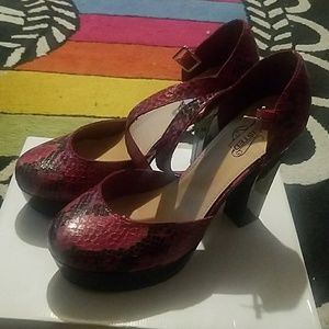 Snake Patten shoes